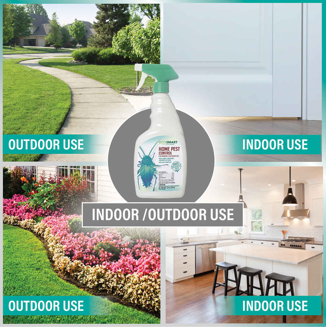 pest control for indoor plants Home Pest Control – 24 oz – Ready to use – EcoSMART a div. of the Kittrich  Corporation
