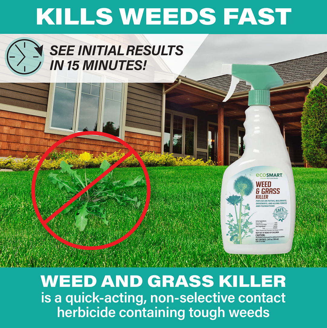 does weedmaster herbicide kill grass Weed & Grass Killer – 24 oz – Ready to use – EcoSMART a div. of the Kittrich Corporation
