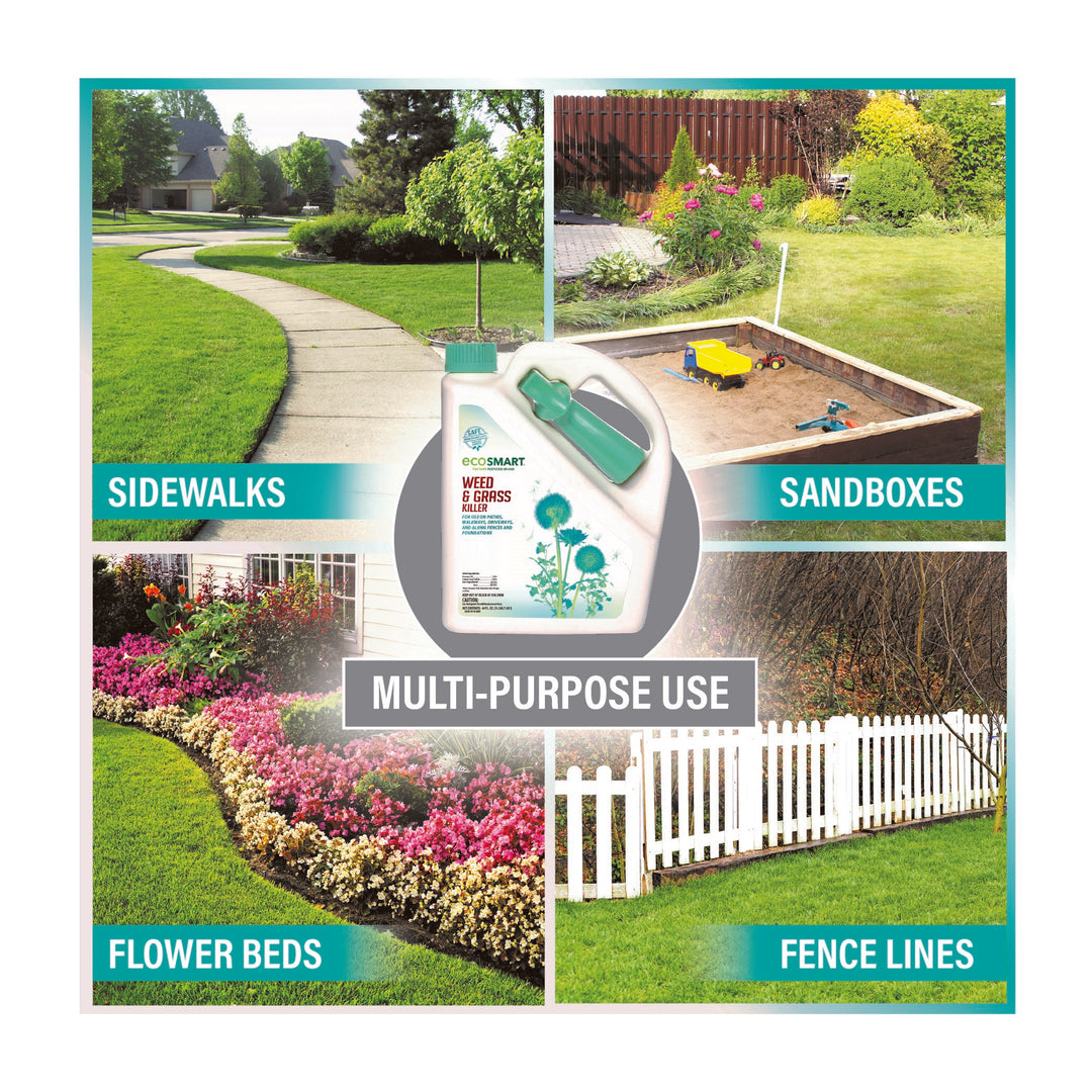 Weed & Grass Killer  64 oz  Ready to use  EcoSMART a div. of the  Kittrich Corporation