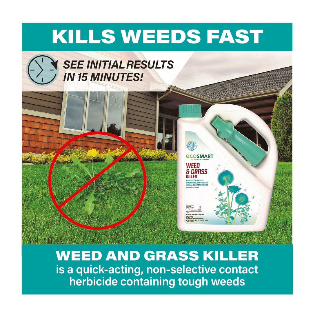 Weed & Grass Killer – 64 oz – Ready to use – EcoSMART a div. of the  Kittrich Corporation