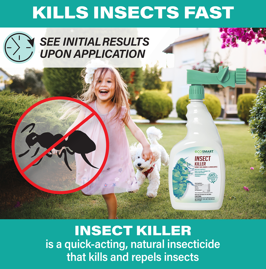 ecost エコスト　ベイジングリキッド　4 Lawn Insect Killer – 32 oz – Hose End – EcoSMART a div. of the