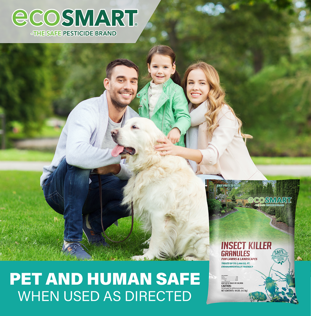 Healthy Lawn Full Website (Copy, 234 selected)