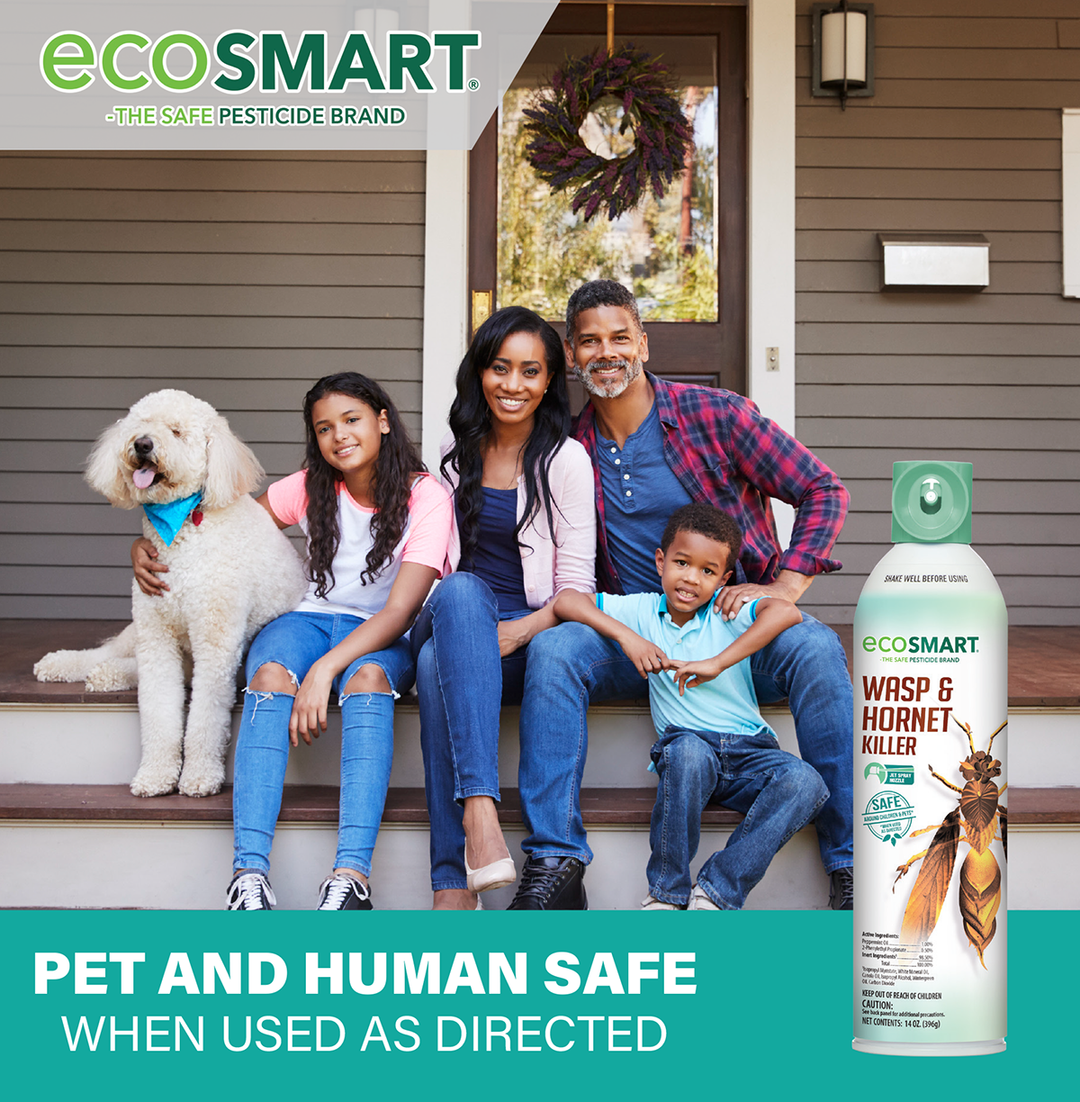 Wasp & Hornet Killer – 9 oz Aerosol – EcoSMART a div. of the